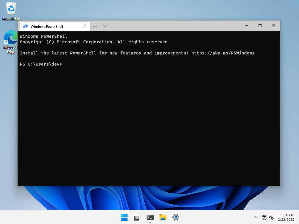 Windows Terminal: the Powershell prompt.